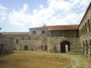 Apollonia